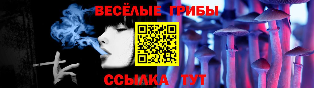 Галлюциногенные грибы Psilocybine cubensis Кунгур